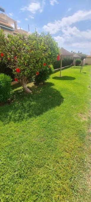 Bungalow Avec Piscine تورّيفيِخا المظهر الخارجي الصورة