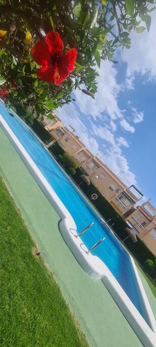 Bungalow Avec Piscine تورّيفيِخا المظهر الخارجي الصورة